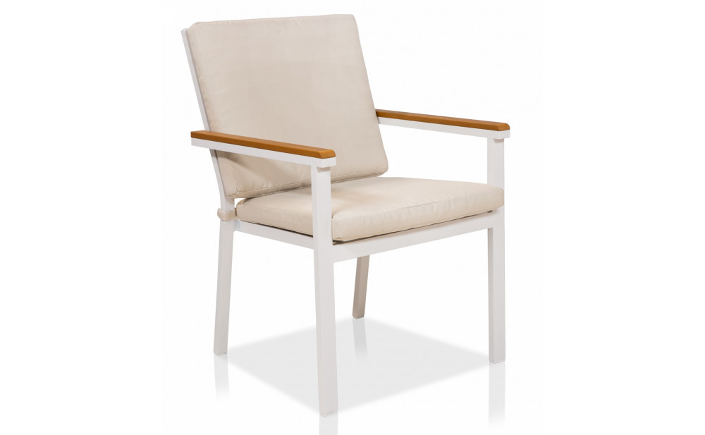 Tinna Patio Arm Chairs (Set of 2)
