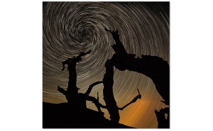 Aurora Wall Art Black / Orange / Blue J&M Furniture Aurora Wall Art Black / Orange / Blue J&M Furniture