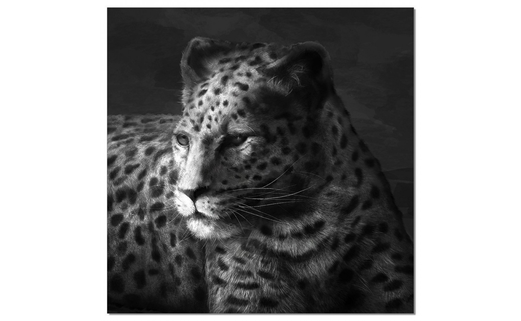 Cheetah Wall Art Black / White J&M Furniture