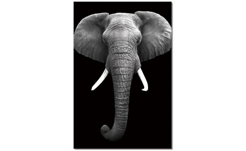 Elephant Wall Art Black / White J&M Furniture Elephant Wall Art Black / White J&M Furniture