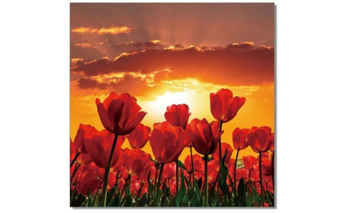 Flowers in Bloom Wall Art Red / Orange / Yellow J&M Furniture Flowers in Bloom Wall Art Red / Orange / Yellow J&M Furniture