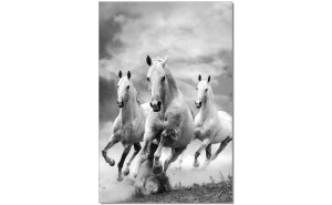 Galloping Horses Wall Art White / Grey J&M Furniture
